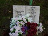 image of grave number 239900